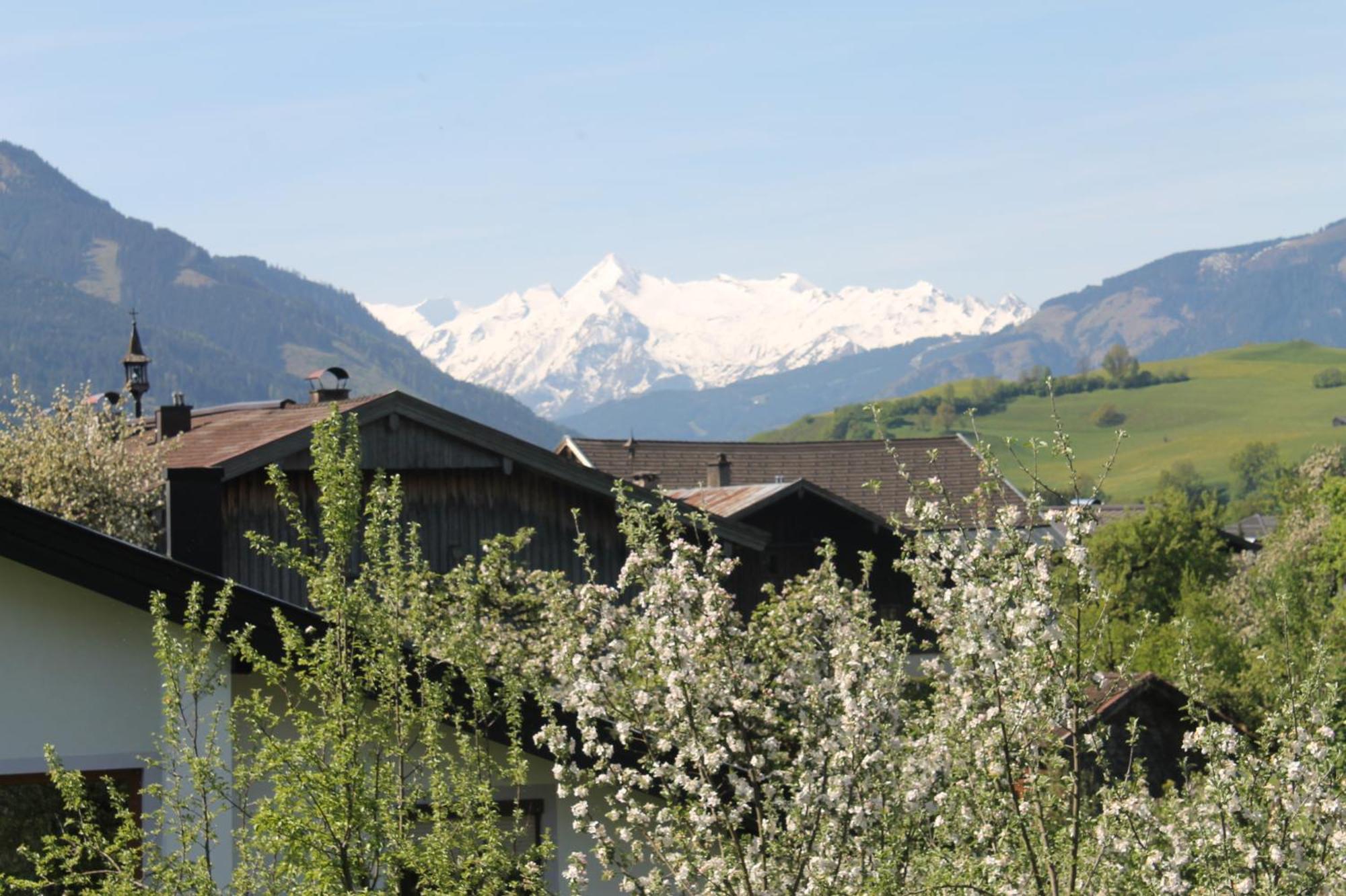 Hôtel Haus Hartl à Saalfelden Extérieur photo